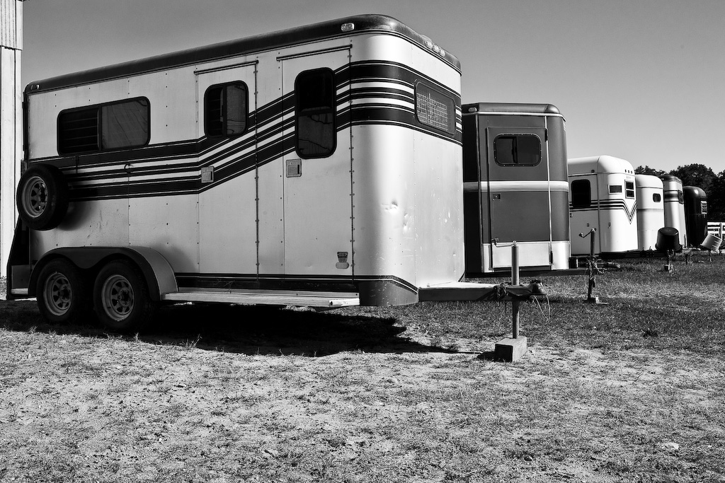 The Best Horse Trailer Insurance Quotes For You