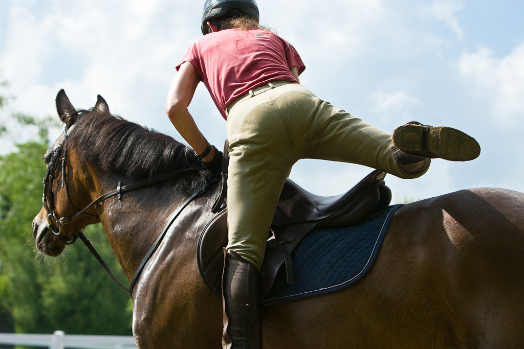 Common Nerve Disorders in Equine Health and It’s Treatment