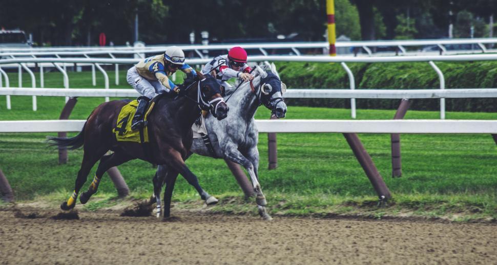 Which Horse Racing API is the Best?